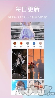 鹦鹉螺壁纸
