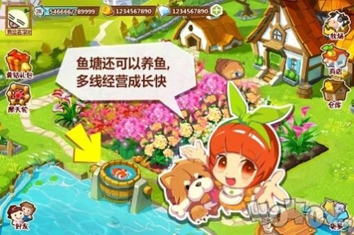 鲜花农场