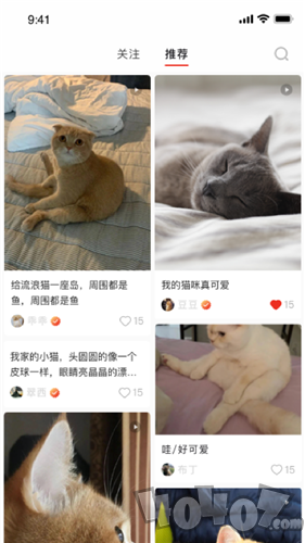 宠年年