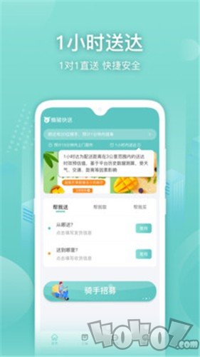 懒猪快送