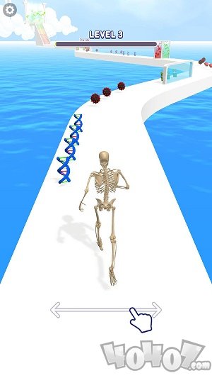 人类跑步进化