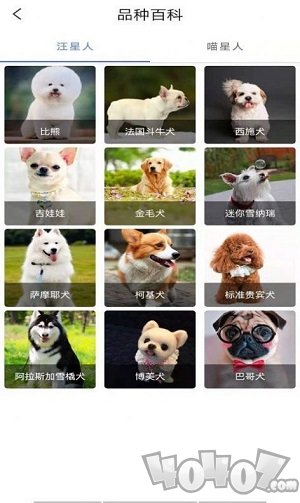宠物知识全书