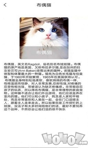 宠物知识全书