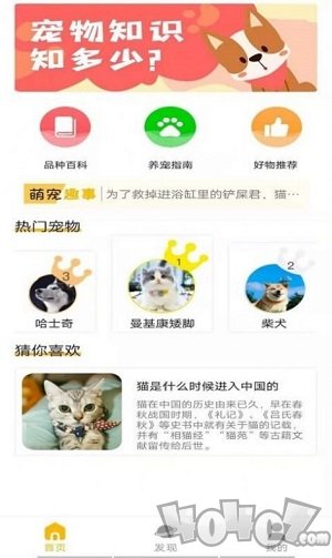 宠物知识全书
