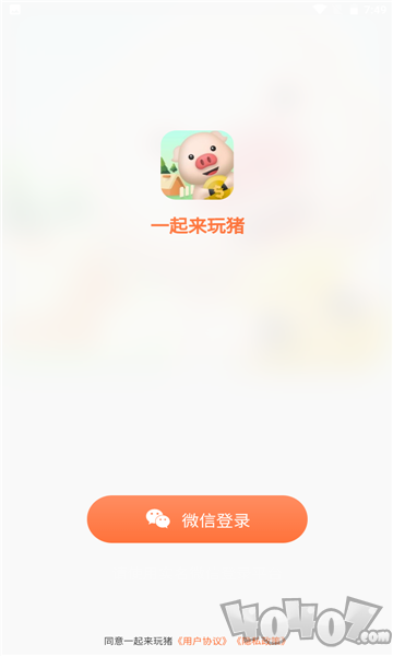 拼猪猪