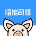 悟能司机