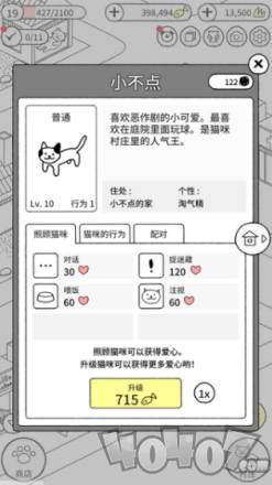 貓咪真的很爆爆
