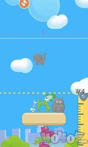 猫咪大厦