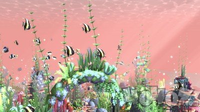 治愈系水族馆