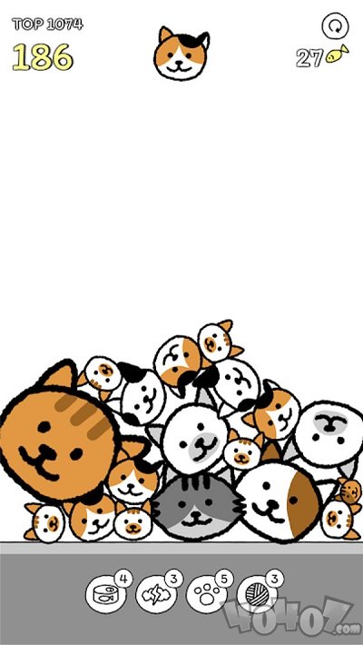 猫咪真的很爆爆