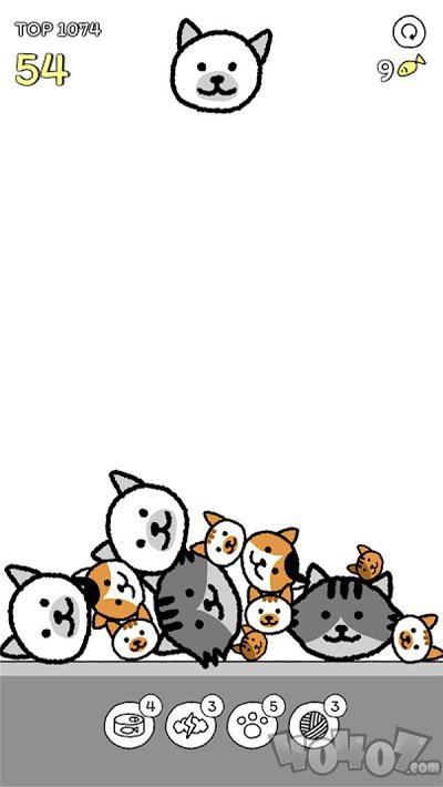 猫咪真的很爆爆