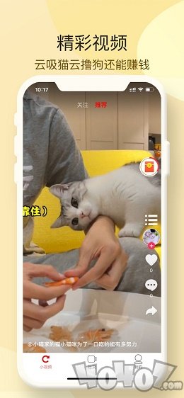 小萌猫