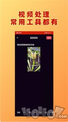 HC视频加文字