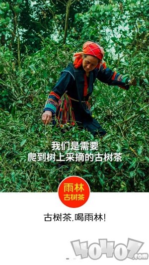 雨林易购