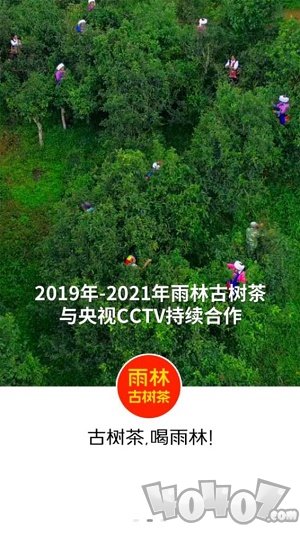 雨林易购