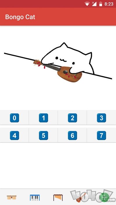 邦戈猫