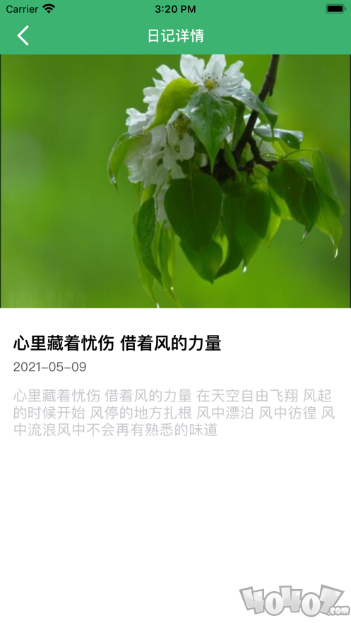 悠悠日记