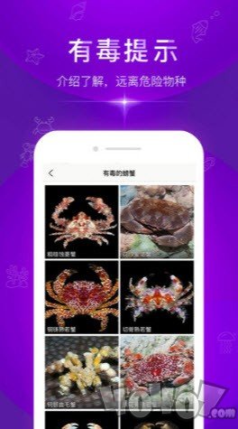 问鱼