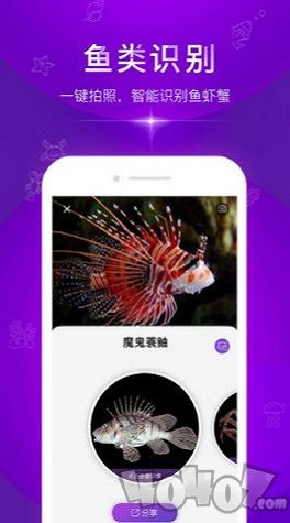 问鱼