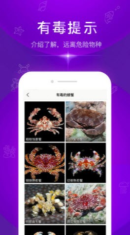 问鱼截图