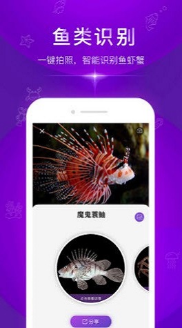 问鱼截图
