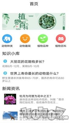 植物品鉴