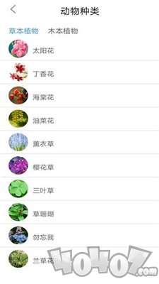 植物品鉴