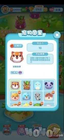 天天来捉宠