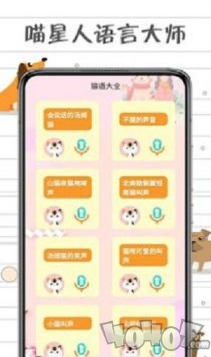 小猫交流器