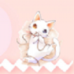 小猫交流器