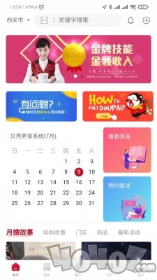 贝壳养育