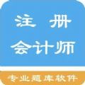 注册会计师题集