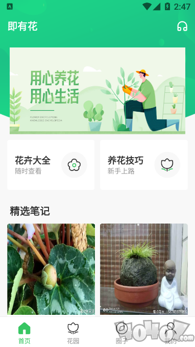 即有花