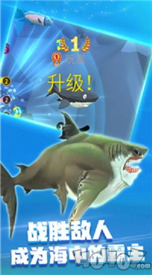 饥饿鲨乱斗