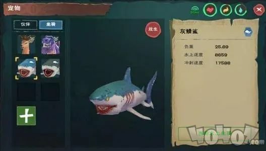 創(chuàng)造與魔法鯊魚位置在哪 2021鯊魚位置坐標(biāo)大全