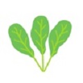 大棚蔬菜养护记录