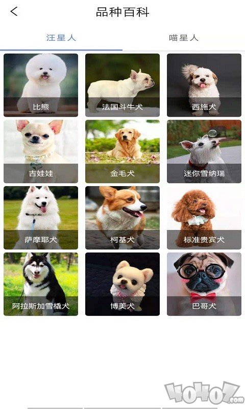 贝贝宠物百科