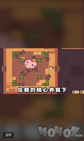 悠闲农场