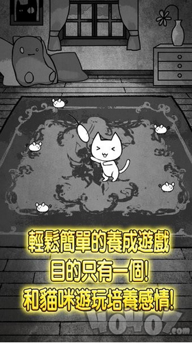 世界奇喵物语