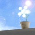 菁菁生活分享社区