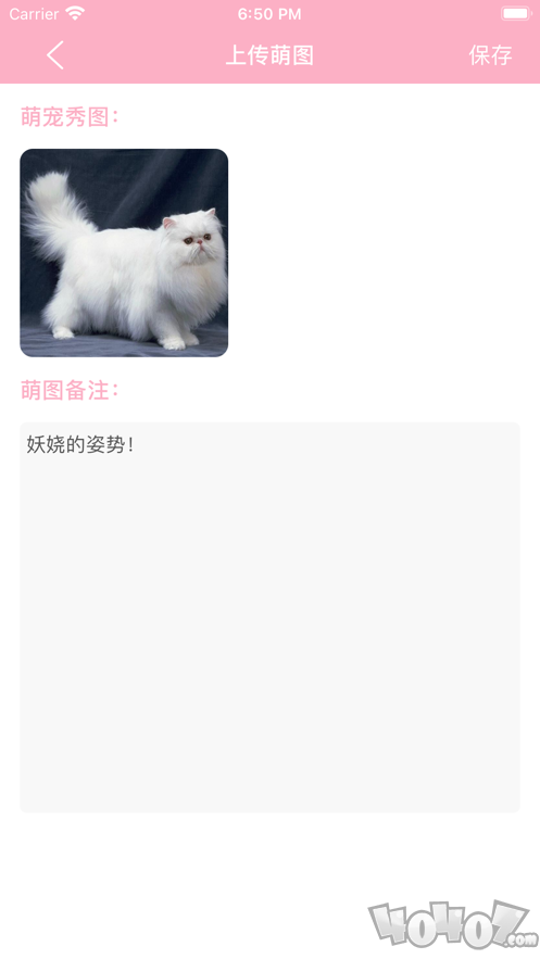 萌宠时光