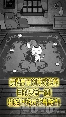 世界奇喵物語