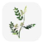 中药植物百科