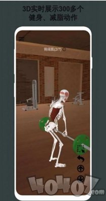 3D健身指南
