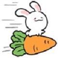 萝卜兔耳