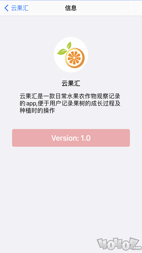 云果汇