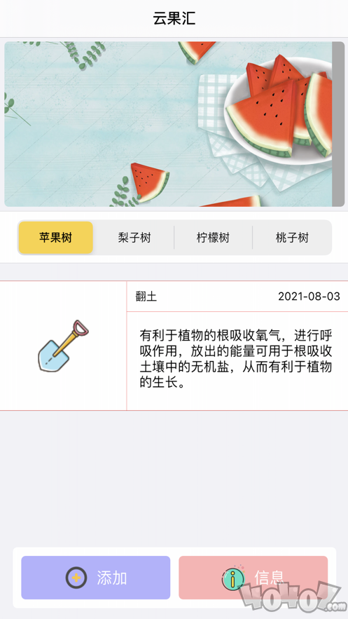 云果汇