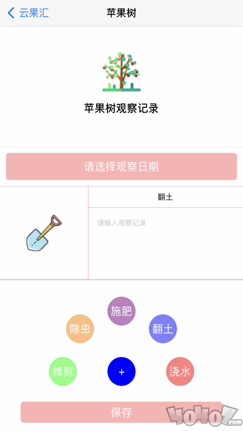 云果汇