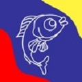 明太鱼