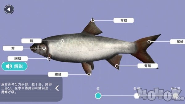 小学科学XR教室